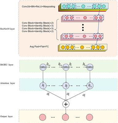 Leveraging natural cognitive systems in conjunction with ResNet50-BiGRU model and attention mechanism for enhanced medical image analysis and sports injury prediction